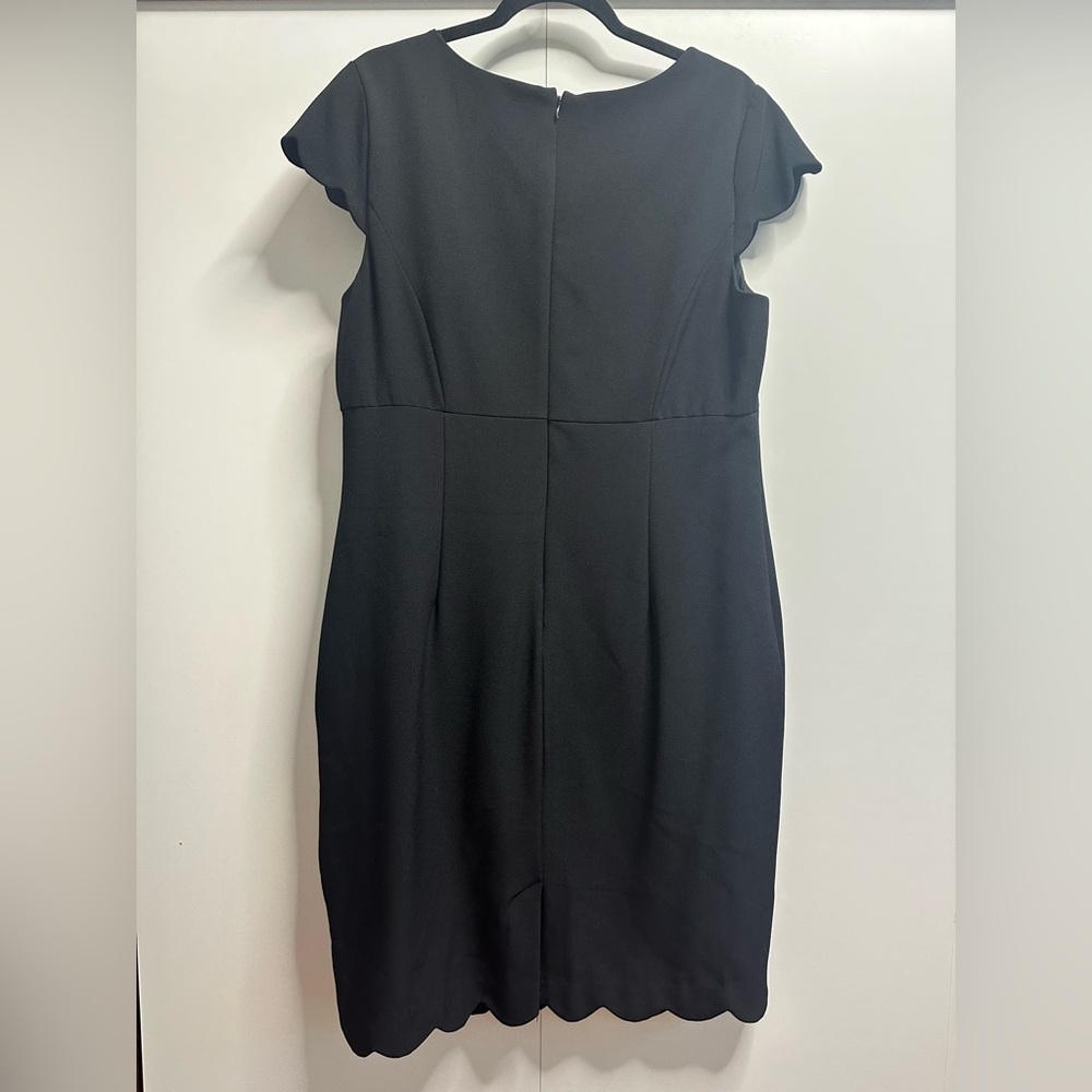 Adrianna Papell Black Scalloped Mini Dress - Picture 5 of 5